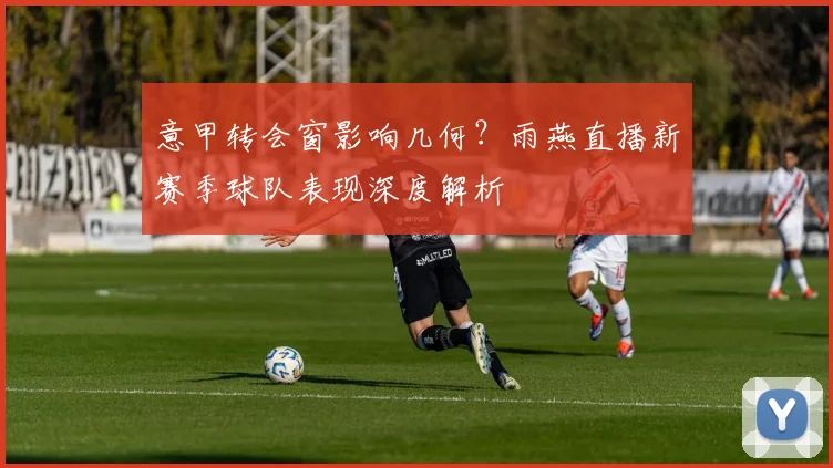 意甲转会窗影响几何？雨燕直播新赛季球队表现深度解析